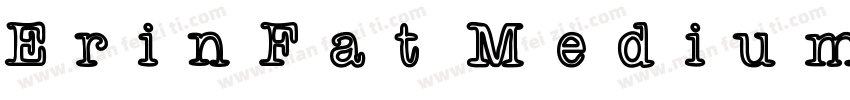 ErinFat Medium字体转换